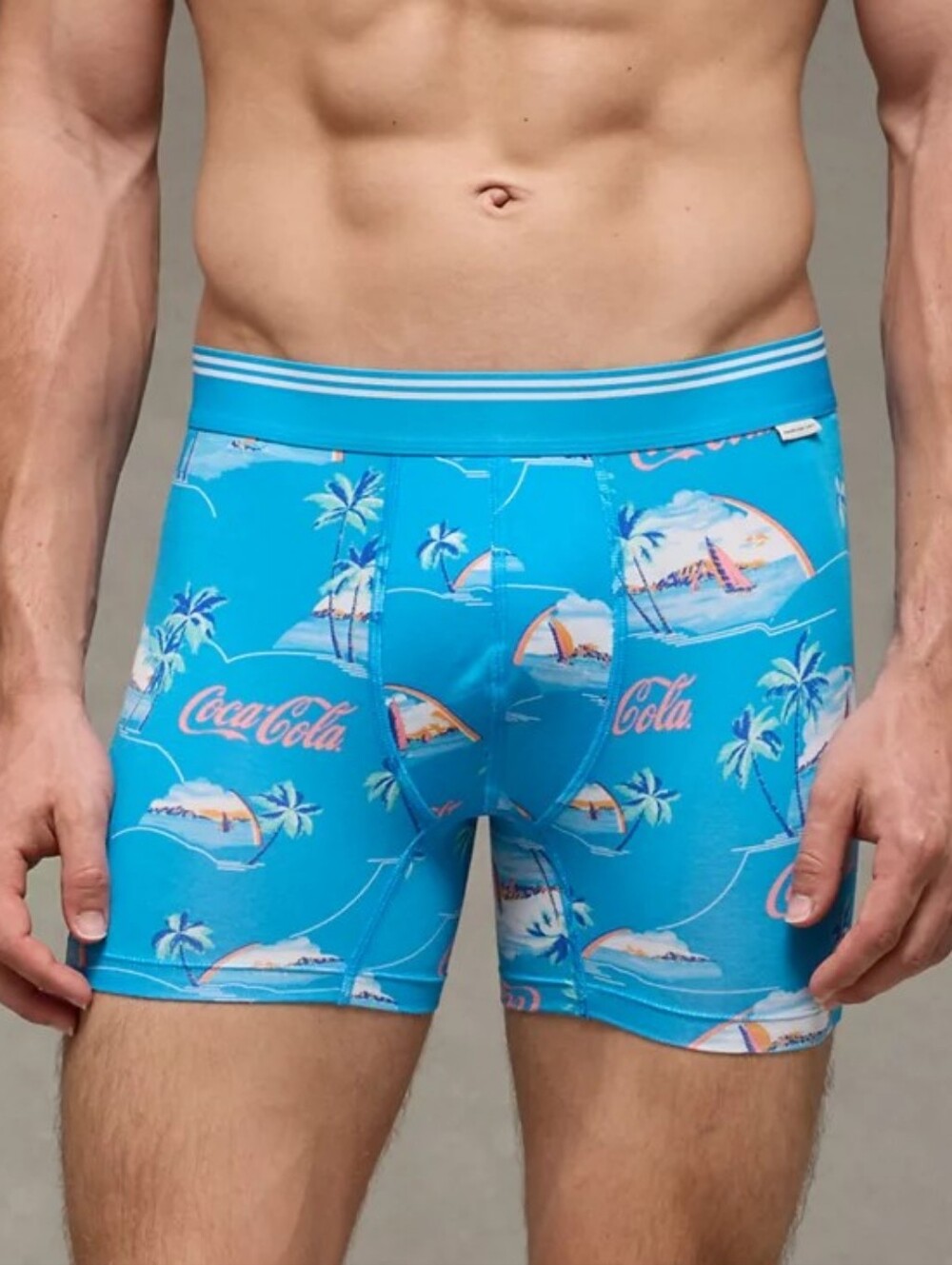 American Eagle Outfitters Men's Ultta Soft Boxer Brief Underwear New Size Large